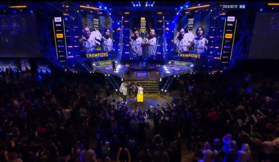 花瓣像展翅 花瓣像展翅