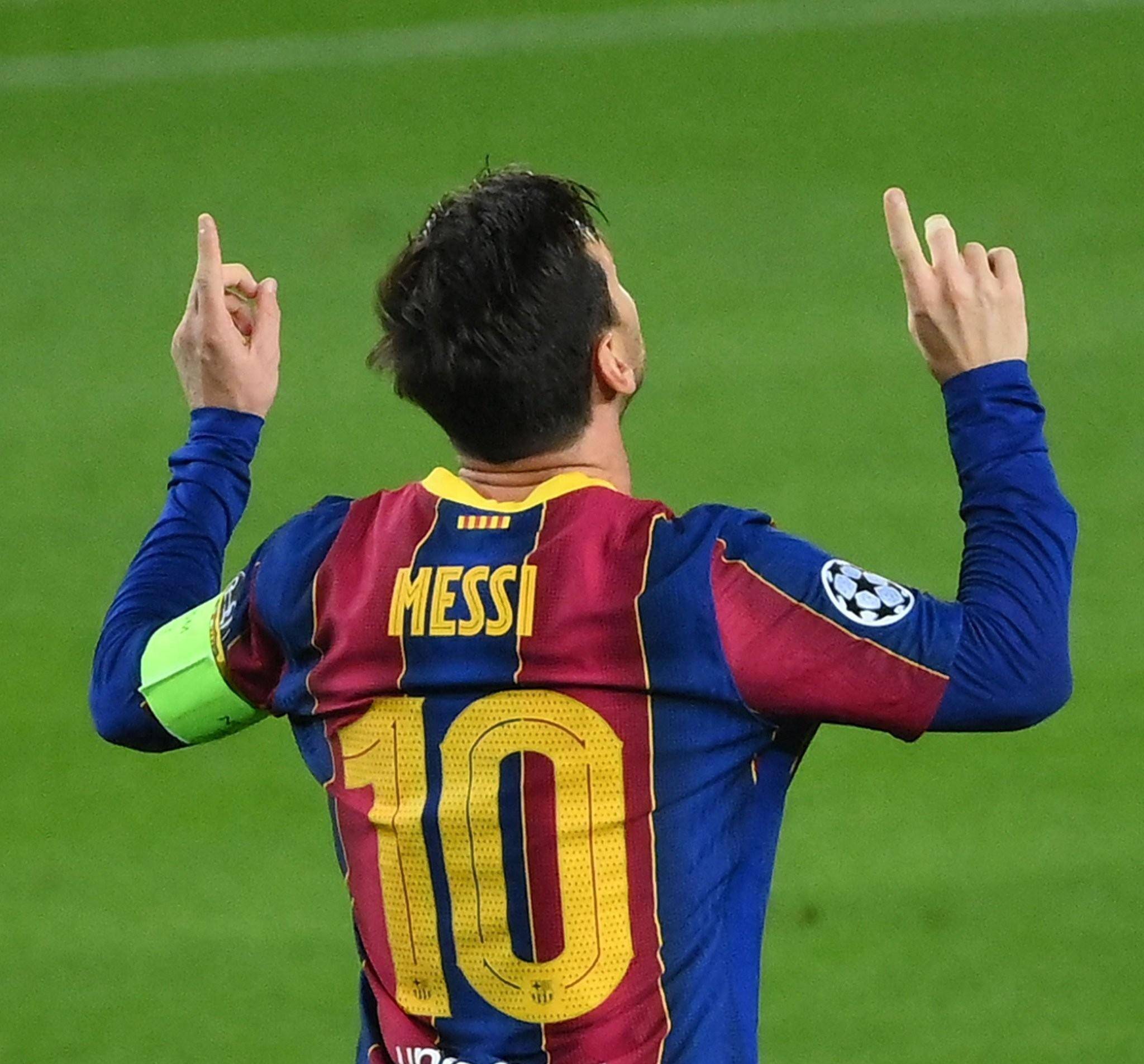 悉的领域 悉的领域